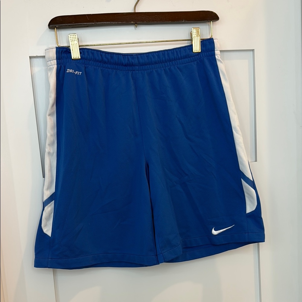 Nike Dri-FIT Blue and White Shorts